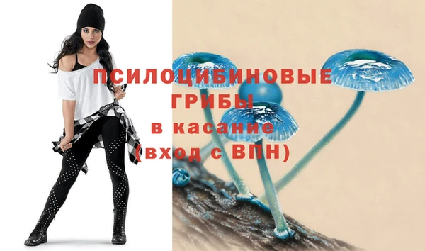 стафф Магас