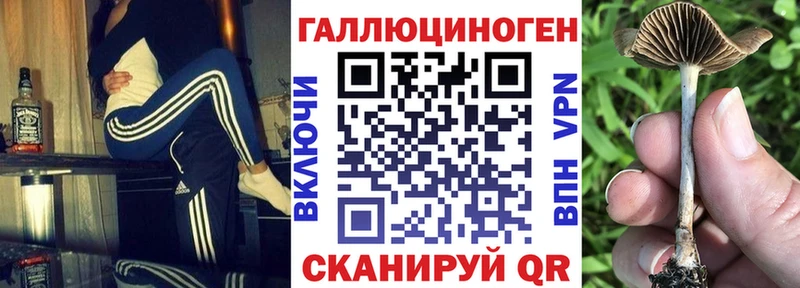 Галлюциногенные грибы Psilocybe  Купить закладки  Пионерский 