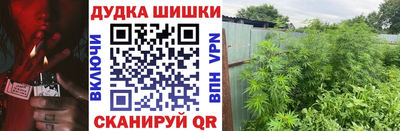 Канабис White Widow Купить закладки Пионерский